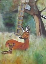 Reh mit Kitz