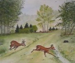 Bock treibt Ricke