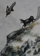 Gemse mit Steinadler