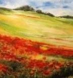 Mohnfeld 16,5 x 16,5