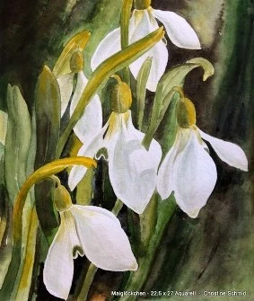 Maiglöckchen  22,5 x 27,0
