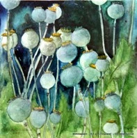 Mohnkapsel 15,5 x 15,5